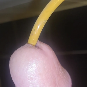 截圖 2025-08-22 18.12.45.png